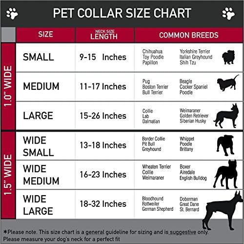 צווארון כלבים אבזם מרטינגייל סופרמן מטרופוליס מול 18 עד 32 אינץ 'ברוחב 1.5 אינץ'