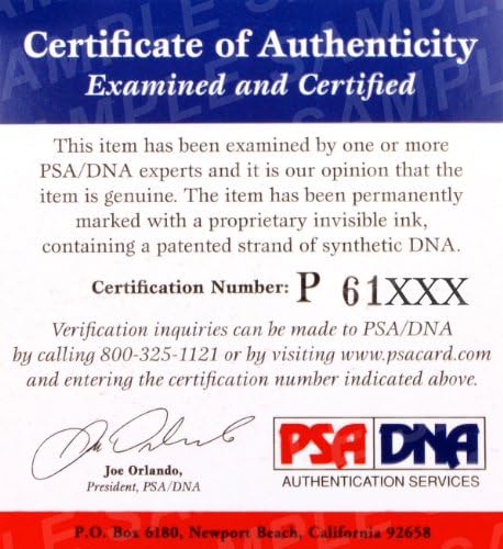 1987 קבוצת האביב של אוקלנד A חתמה על בייסבול עם חתימה - 30 חתימות PSA/DNA - כדורי בייסבול עם חתימה