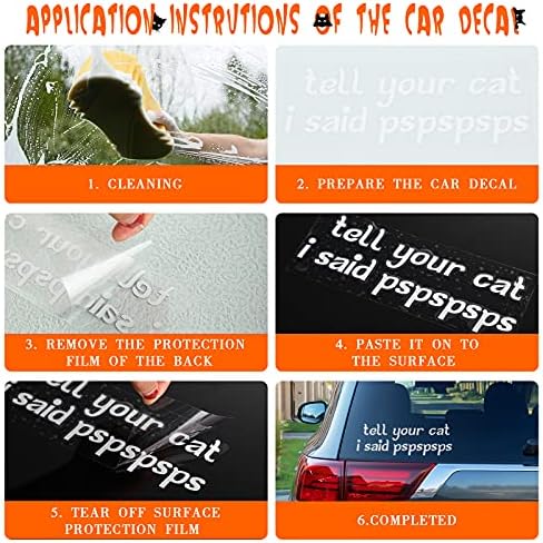 6 חלקים מדבקות מכונית חתול מצחיק תגיד לחתול שלך שאמרתי מדבקות PSPSP